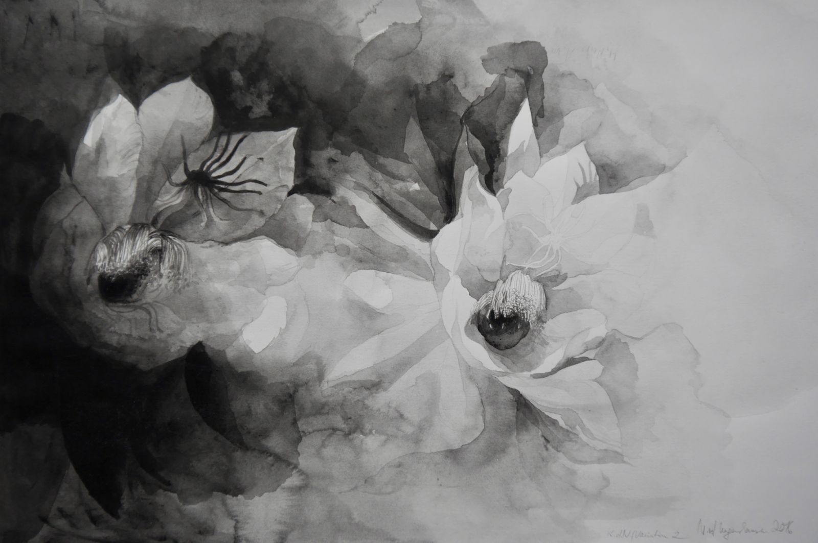 K.d.N.Variation2Aquarell45x302016